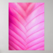 Poster Bromelière de Quill Rose (Devant)