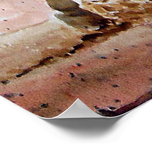 Poster Bronc Riding Cowboy (Coin)