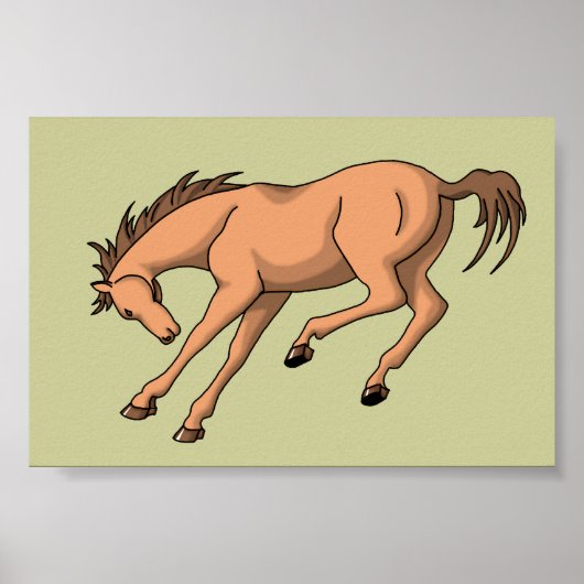 Poster Bronco (Devant)