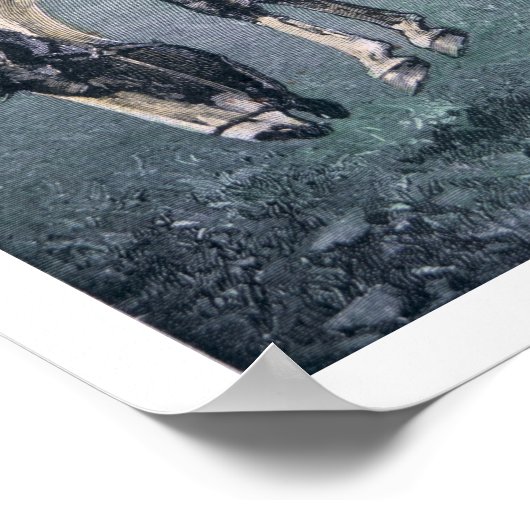 Poster Bronco-Buster (gravure colorée) (Coin)