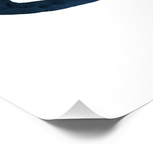 Poster Brontosaurus (Coin)