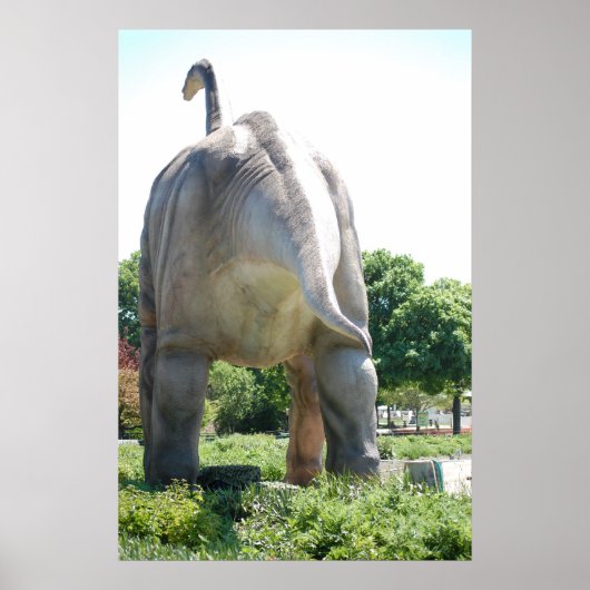 Poster Brontosaurus dinosaure (Devant)