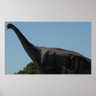 Poster Brontosaurus dinosaure