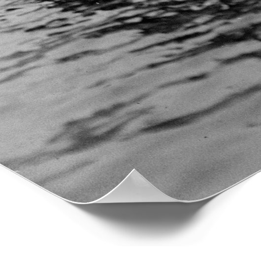 Poster Bronx Amusement Park, années 1920 (Coin)