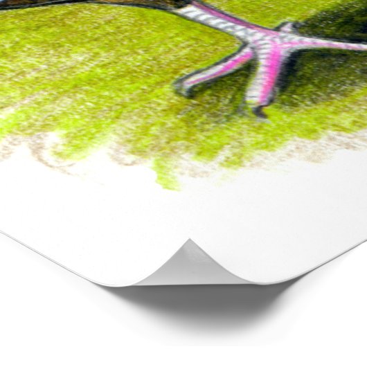 Poster Bronze large de Turquie (Coin)