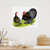 Poster Bronze large de Turquie (Cuisine)