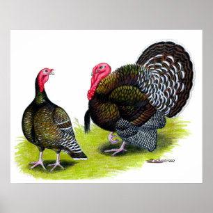Poster Bronze large de Turquie