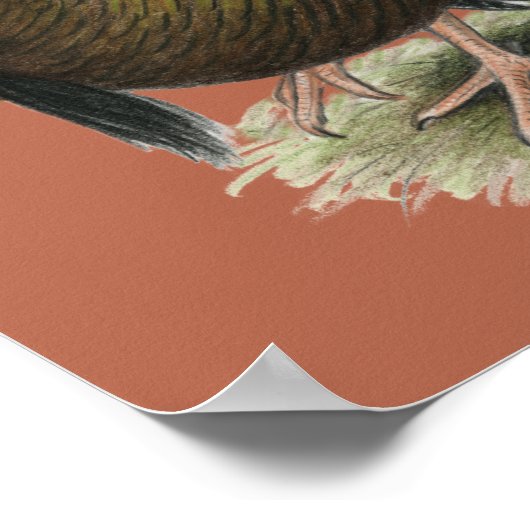 Poster Bronze standard de Turkey (Coin)