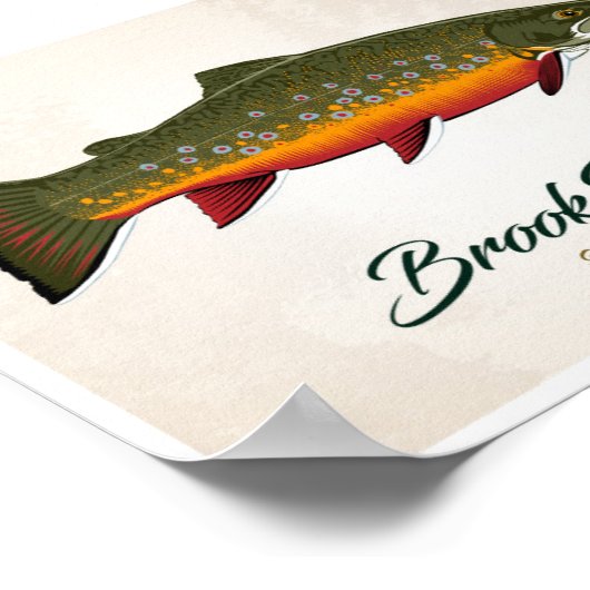 Poster Brook Trout (Coin)
