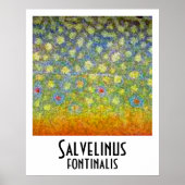 Poster Brook Truite (Devant)