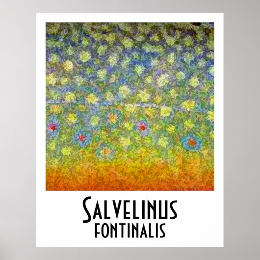 Poster Brook Truite (Devant)