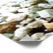 Poster Brook Truite (Coin)