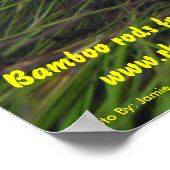 Poster Brookie (Coin)