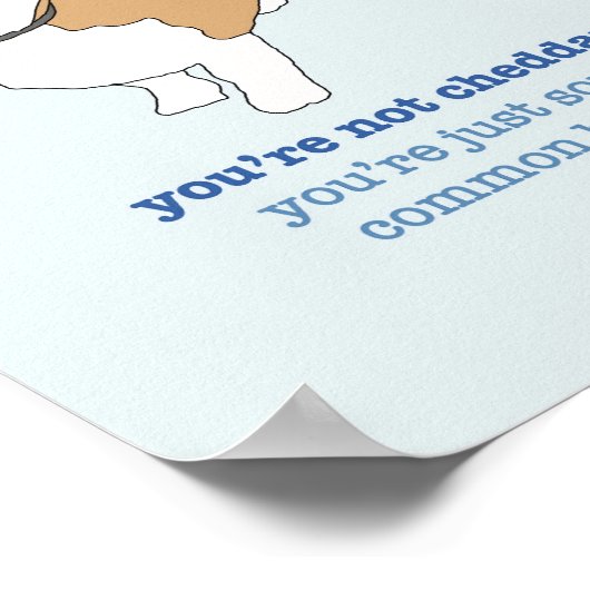 Poster Brooklyn 99 Cheddar (Coin)