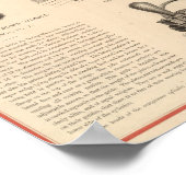 Poster Brooklyn Life Insurance Company (Coin)