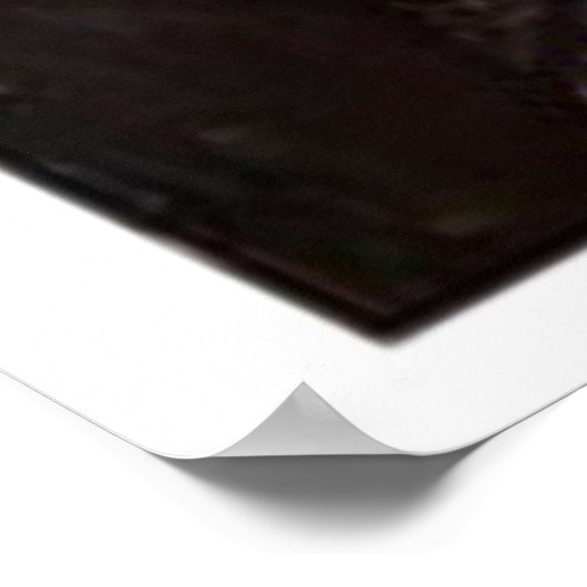 Poster Brooklyn Nine Raymond Holt Portrait Imprimer F (Coin)