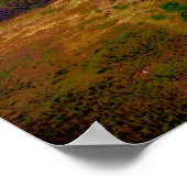 Poster Brooks Mountain Range, Arctique de l'Alaska (Coin)