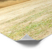 Poster Brookside Pulling (Coin)