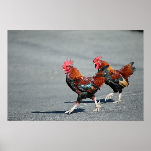 Poster "Bros On a Stroll" (Devant)