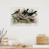 Poster Brosse Antique Lithographie (Cuisine)