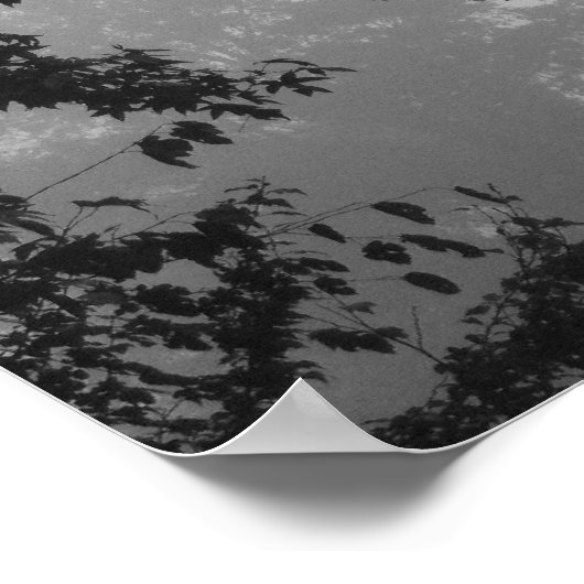 Poster brouillard (Coin)