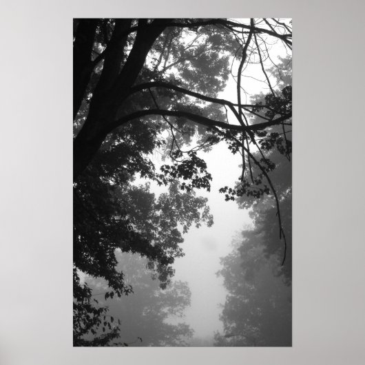Poster brouillard (Devant)