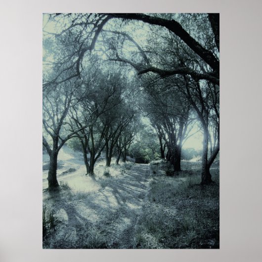 Poster Brouillard de l'aube (Devant)