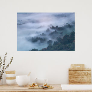 Poster Brouillard du matin roulant à travers les arbres