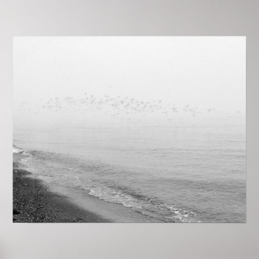 Poster Brouillard et pluie s'installent le long du rivage (Devant)
