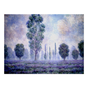 Poster Brouillard matinal