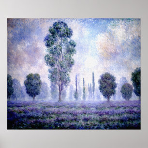 Poster Brouillard matinal