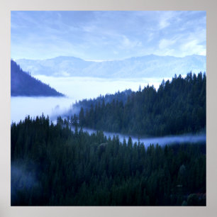 Poster Brouillard matinal.....
