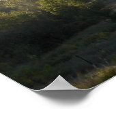 Poster Brouillard matinal dans les Adirondacks 5 (Coin)