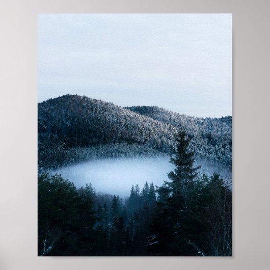 Poster Brouillard mystérieux piégé dans une forêt de sapi (Devant)