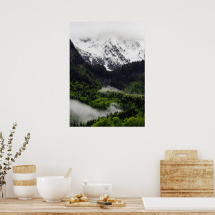 Poster Brouillard roulant à travers la forêt sous les mon