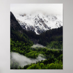 Poster Brouillard roulant à travers la forêt sous les mon
