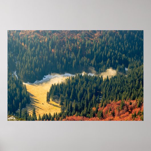 Poster Brouillard roulant sur un champ d'automne solitair (Devant)