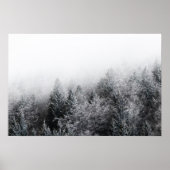 Poster Brouillard sur forêt gelée (Devant)