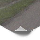 Poster Brouillard sur la promenade Foothills, Tennessee (Coin)