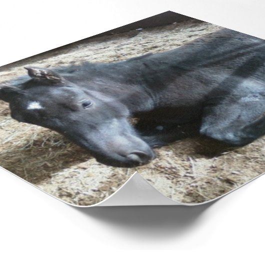 Poster Brouillon (Coin)