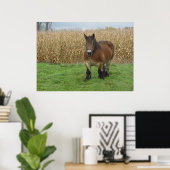 Poster Brouillon belge Horse devant un champ de maïs (Bureau à domicile)