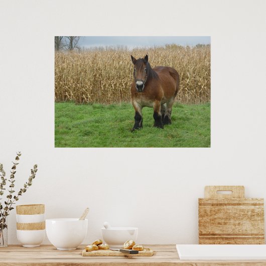 Poster Brouillon belge Horse devant un champ de maïs (Cuisine)