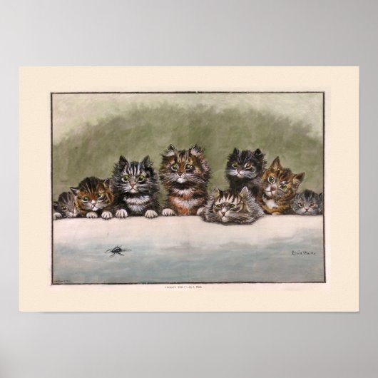 Poster Brown and Grey Tabby Kittens (Devant)
