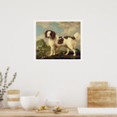 Poster Brown and White Norfolk or Water Spaniel, 1778 (oi (Cuisine)