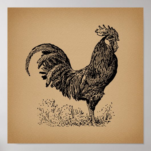 Poster Brown Antique Rooster Illustration Chicken Art (Devant)