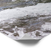 Poster Brown Bear Catches Red Salmon (Coin)