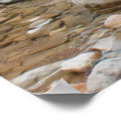 Poster Brown Bear in Stream (Coin)