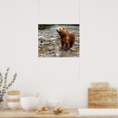 Poster Brown Bear in Stream (Cuisine)