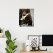 Poster Brown bear ou Coastal Grizzly Bear, Ursus (Bureau à domicile)