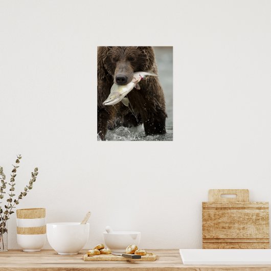 Poster Brown bear ou Coastal Grizzly Bear, Ursus (Cuisine)